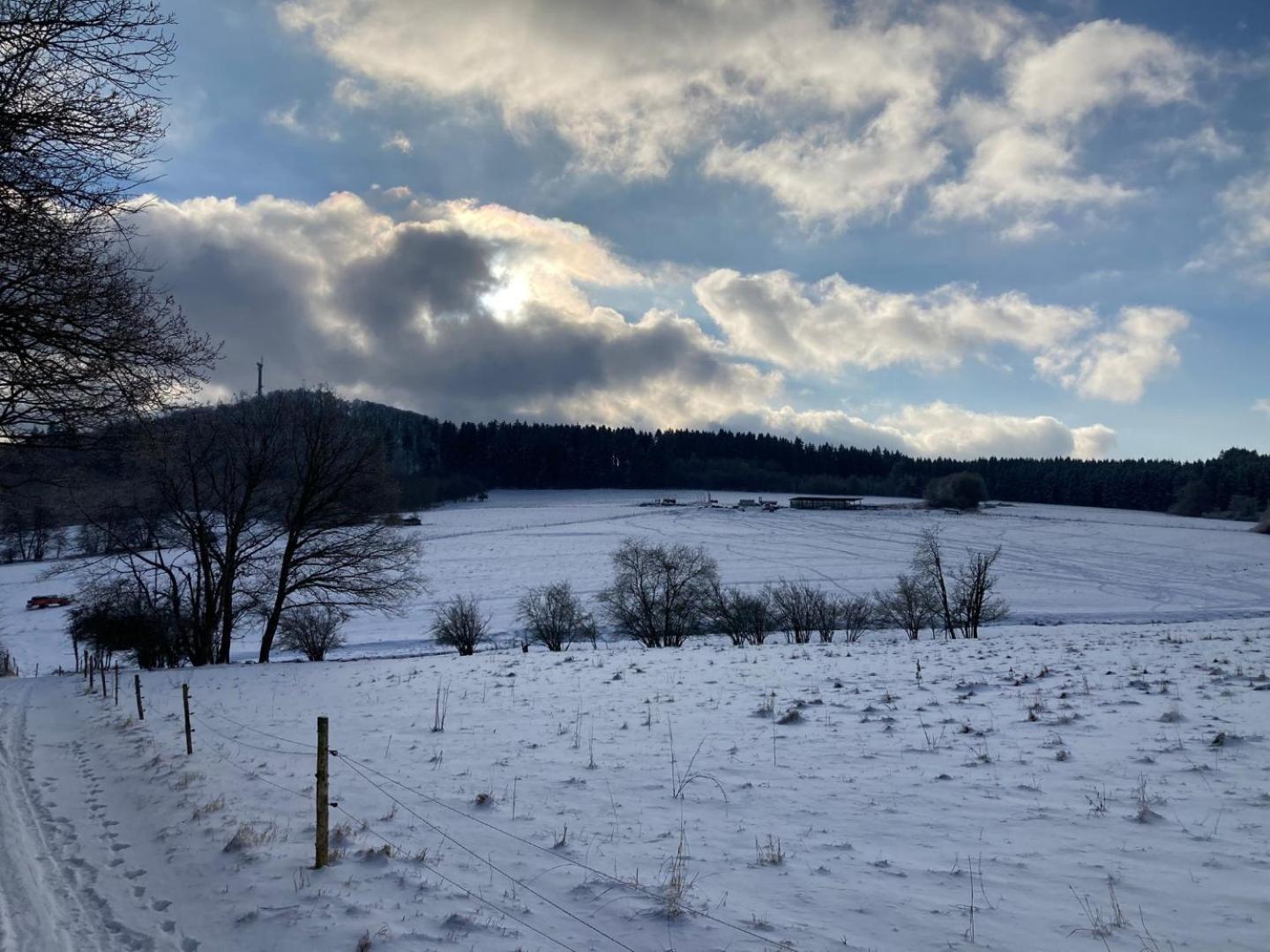 Ferienwohnung Am Hochkelberg Bereborn Экстерьер фото